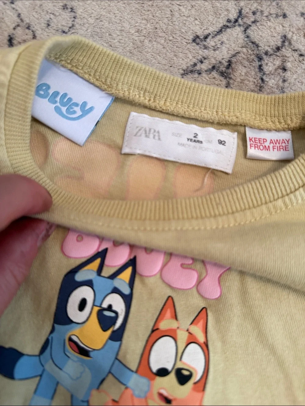 Zara X Bluey Set